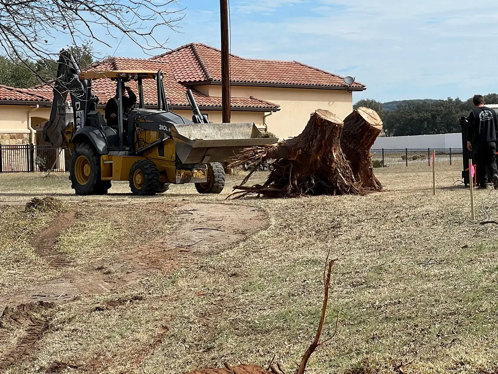 remove tress remove tress