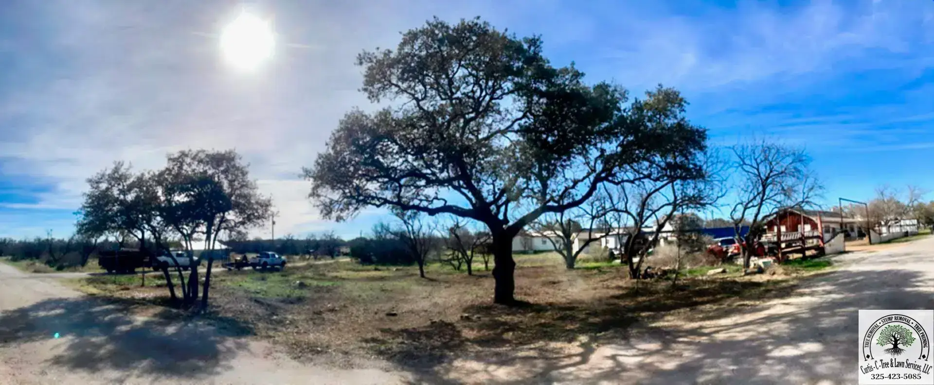 garden tress garden tress