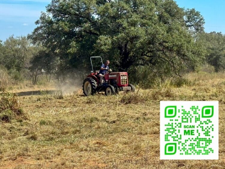 land clearing 2 land clearing 2