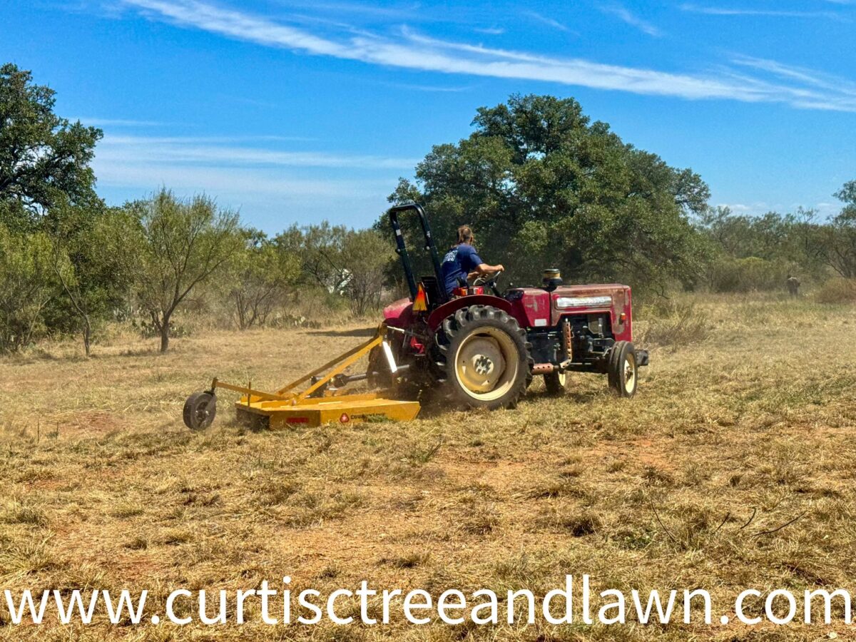 land clearing land clearing