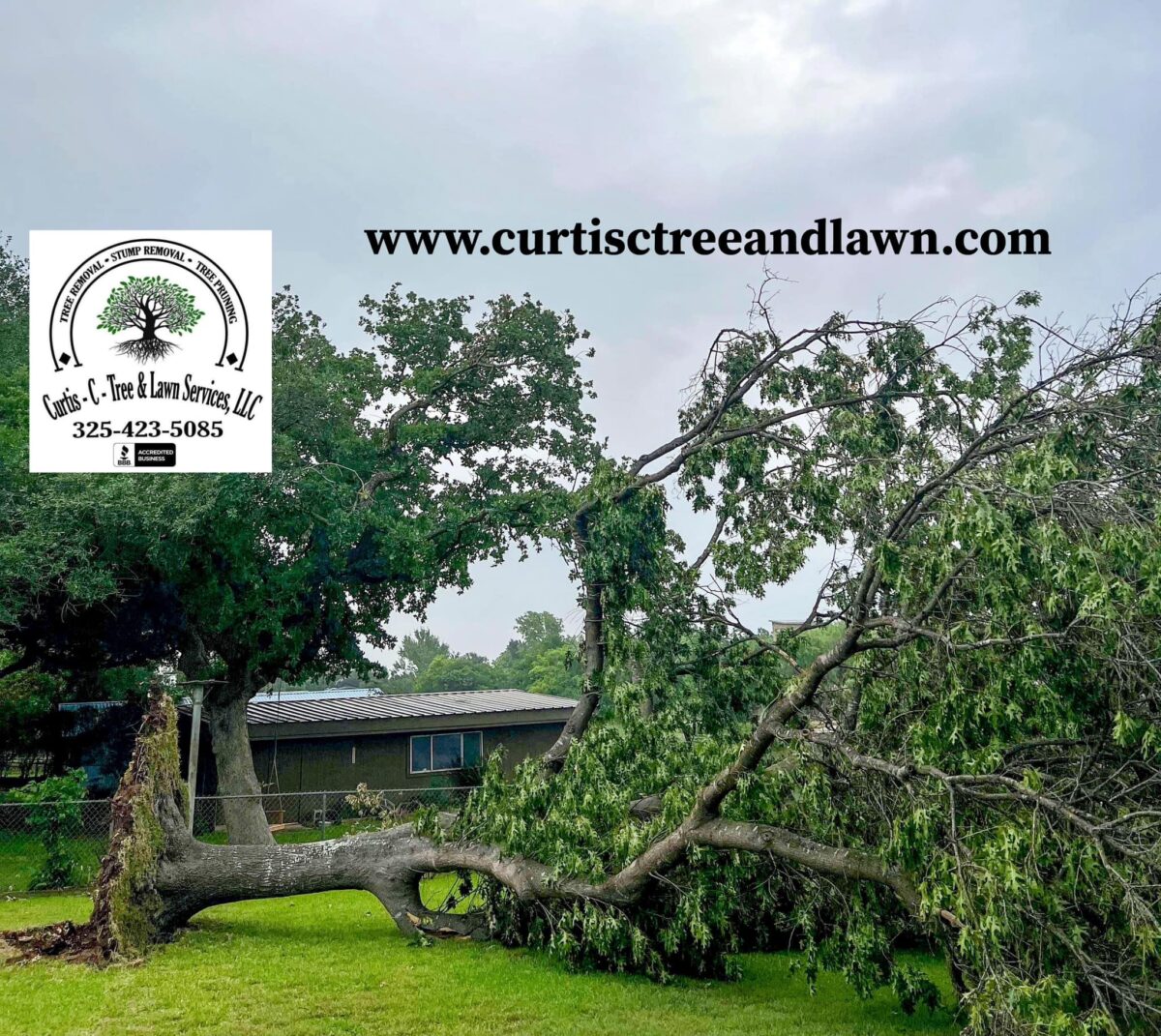 large removal before