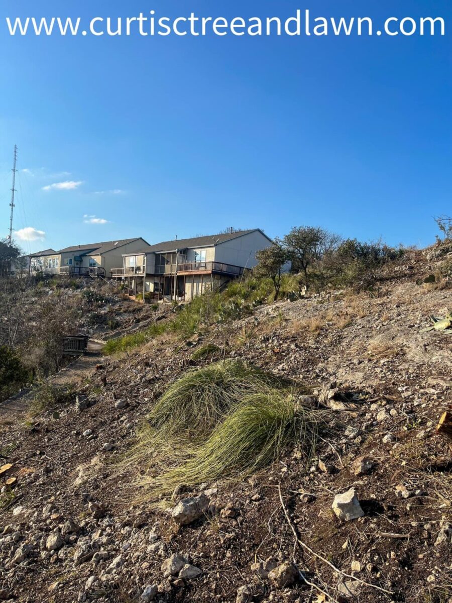 Curtis-C lot clearing land and lot clearing near me