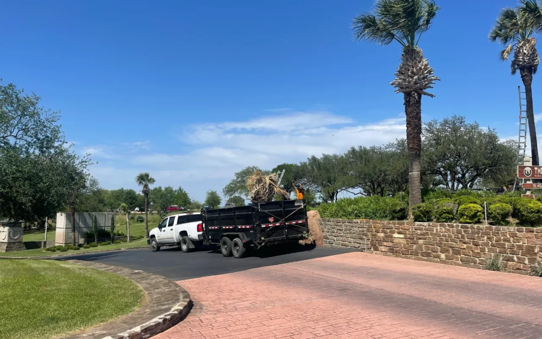 Landscaping Services After Tree Removal: What Comes Next?