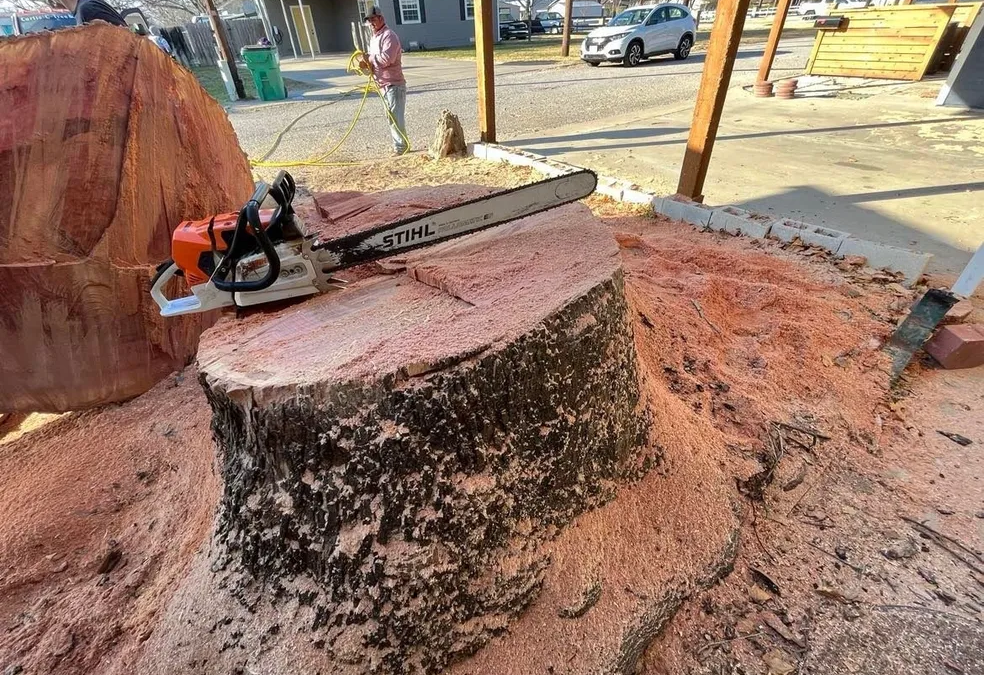 Tree Removal, Trimming, and Stump Grinding in Buchanan Dam, TX: What Property Owners Need to Know