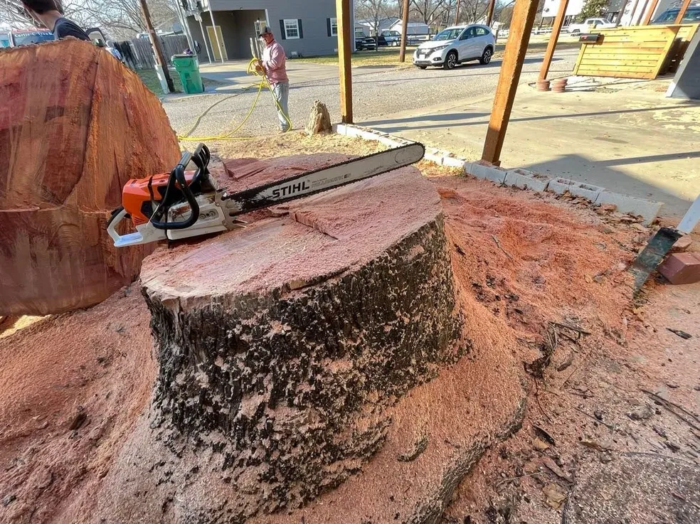 stump grinding