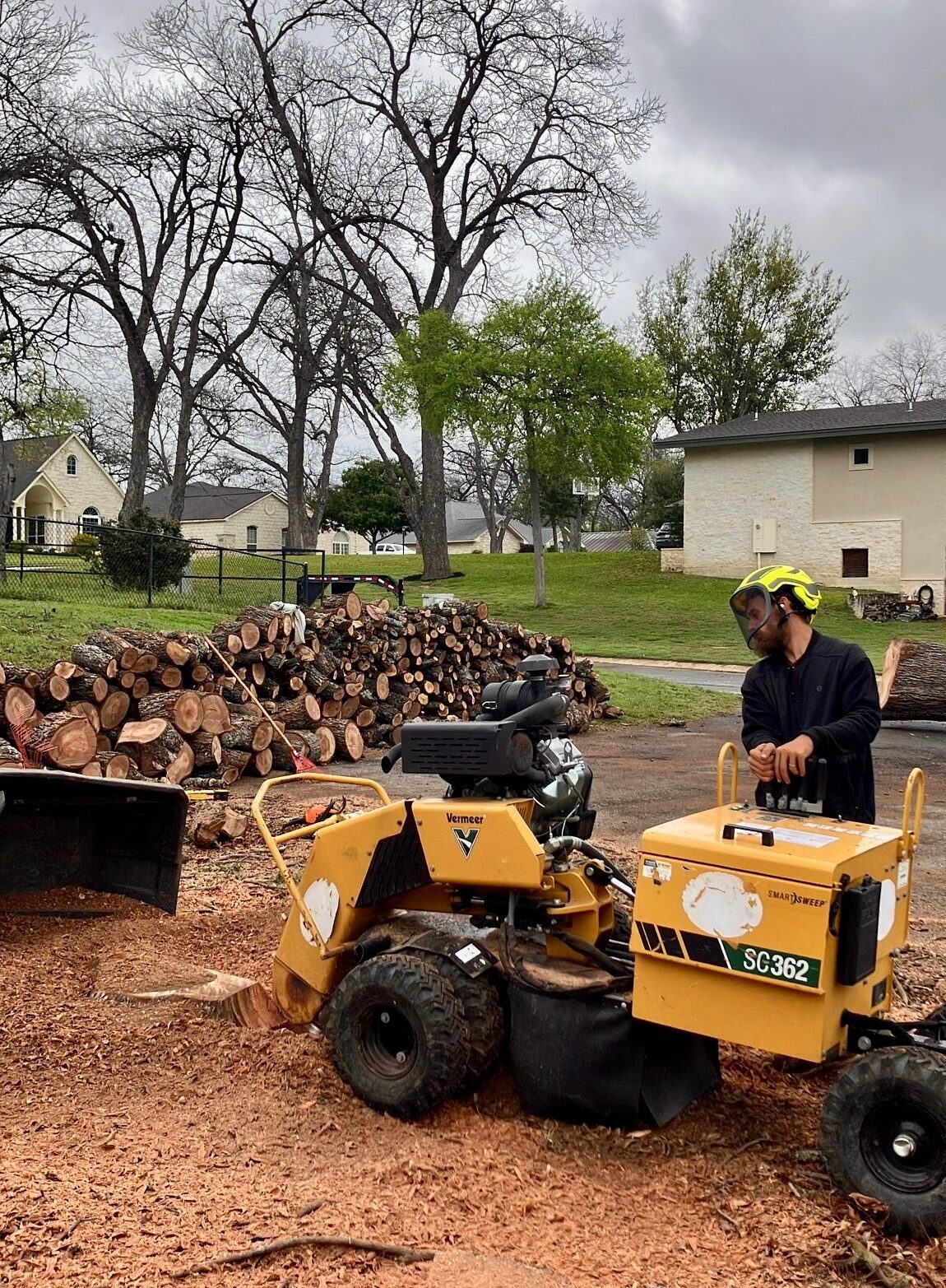 Curtis-C tree removal stump grinding
